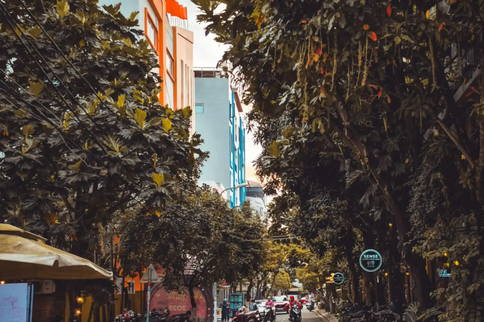 Con phố nhỏ ở Thảo Điền với quán cà phê, hàng cây và xe máy đỗ bên đường
